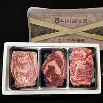 함평 나비골농협 한우선물세트 명절선물세트, 한우선물세트 실속구이세트 1호 (800g)