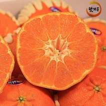 맛가득 제주 레드향 한라봉 천혜향 황금향 하우스귤 비가림 타이벡 타이백 청귤 밀감, 황금향 3Kg 9-11과