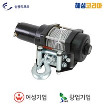 쌍용리프트 초소형 수직형 호이스트 DRH-300, 1개