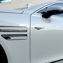 JS automotive 자동차 슬로건 엠블럼 빈티지 휀다 뱃지 도장 도면 튜닝 가니쉬 몰딩 실외 드레스업 용품, 08_아우디_조수석-레드, 1개