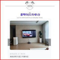 없음 [반값화분] MAIN-대형콤팩타130(드라세나) 직접배송 축하화분 개업화분 거실화분 카페화분 인테리어화분 아레카야자 극락조 알로카시아 파키라 고무나무, 사각블랙