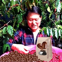커피향기줍는남자 원두커피 원두 당일 로스팅 스페셜티 커피콩, 500g, 에스프레소 8 코스타리카