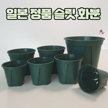 농사친구 모스그린 슬릿화분 화분받침 일본 슬릿분