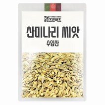 조은약초 프리미엄 산미나리씨앗 600g 기타한차재료, 1개