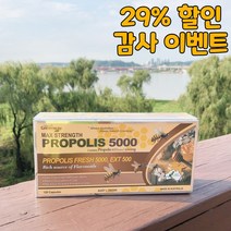 호주 프로폴리스 네이쳐스그린웨이 호주산 고함량 5000mg 120캡슐