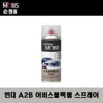 순정품 현대 A2B 어비스블랙펄 417 스프레이 자동차 차량용 도색 카페인트, A2B 어비스블랙펄 스프레이(모비스)