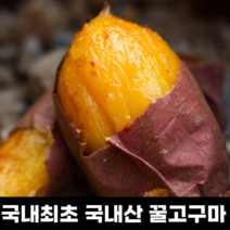 구월농장 꿀 고구마 소담미 5KG 10KG, 중상