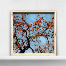 cl255-우드프레임액자_풍수재물을부르는감나무1, 이미지1