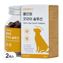 모모하우스 강아지 눈 영양제 눈물 자국 충혈 백내장 녹내장 염증 결막염 루테인+오메가3+밀크씨슬 올인원 반려견 영양제, 2박스