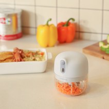 케어프린 무선 미니 다지기, 미니 다지기 250ml