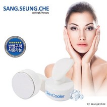 상승체 스킨쿨러 피부 마사지기 (스티커인쇄가능)