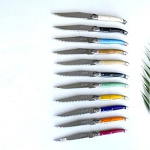 예반 장네론 라귀올 조각 디너나이프 / 11 color, 그린