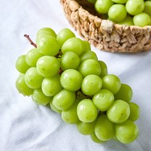 산지직송 쭌이네 당도보장 샤인머스켓 1kg/2kg, 샤인머스켓 2kg(5-6수-소), 1개