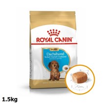 애견사료 로얄캐닌 독 닥스훈트 주니어 1.5kg