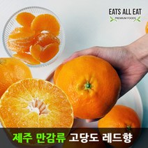 이츠올릿 제주 감귤 레드향 3kg 하우스 제주도 귤 택배 선물 세트, 천혜향＋선물가방_5kg(중대_15-24과)