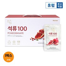 휴럼 진심 석류 100 24포 1박스 터키산 석류 농축액, 1개, 단품
