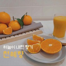 제주 산지직송 제철 고당도 천혜향 선물용 3kg 5kg, 기본, 대과3kg(6-11과)