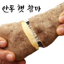 엄마네곳간 안동마 당일선별, 1박스, [산마] 못난이 10kg