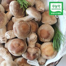 착한송이 영양 무농약 송이버섯 표고버섯이 만난 500g, 중품 500g