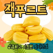 잭푸르트 쫀득쫀득 과일의 왕자 잭후르츠 베트남 열대과일 2kg, 1개