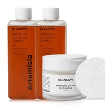 블랑카우 인진쑥 에센스 스킨 토너 200ml + 비건 인증 빅패드 70매, 2개