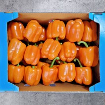 주황 파프리카 2kg