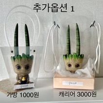 키우기쉬운 실내공기정화식물 집들이 개업 식물 화분, 가방