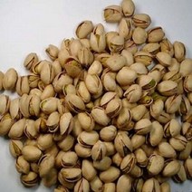 생 피스타치오 350g-견과류, 상세페이지 참조, 상세페이지 참조, 상세페이지 참조