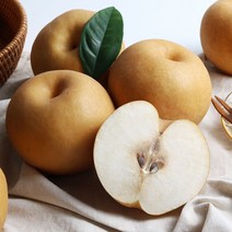 산지직송 나주배 가정용 신고배 23년 햇배, 1박스, 5kg 5~10과