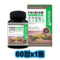 보스웰리아 효능 관절 BCC 복용법 보수엘리아 인도산 보스웰릭산 비타민B군 비타민D 테르페노이드 마그네슘 울금 해조칼슘 상어연골 분말 저분자 피쉬 콜라겐 히알루론산 녹색홍합