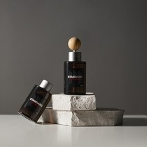 메이튼 스탠다드M 차량용 방향제 자동차 디퓨저 차 방향제 100ml 1+1 신차 새차 선물 고급 명품, 차량용 디퓨저100ml+우드 볼 스틱 2개, 프리지아