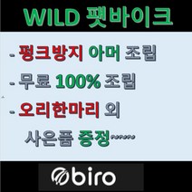 재고전화문의 필수 / 2022BIRO 바이로전기자전거 Wild S/A 팻바이크 후륜구동 DUAL모드_20인치_14Ah