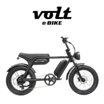 퀄리스포츠 볼트B VoltB 48v 15Ah/20Ah배터리 500W모터 전기자전거 레트로 펫바이크 자토바이, 무광그린, 48V 15Ah 500W