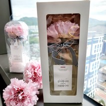아이작큐브 카네이션 볼펜 선물세트 어버이날 스승의날 어린이집 선생님 선물, 화이트 슬라이딩케이스포장