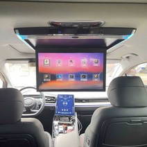 차량 뒷자석 모니터 천장 TV 설치 캐라반 캠핑카 SUV, 17.3인치HDMP5+HDMIIPS