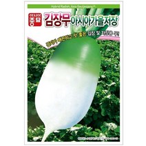 (아시아종묘/무씨앗종자) 아시아가을저장무 (12g)