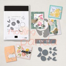 토퍼기계 레터링 커팅기 새로운 도착 꽃 동물 금속 절단 다이 및 스탬프 DIY 스크랩북 구현하는 종이 카드, 06 MP657_01 EN Clear Stamps