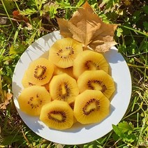 페이스코 골드키위 국내산 해금, 소과 1박스(2kg)