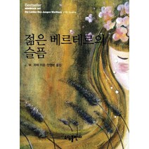 젊은 베르테르의 슬픔, 소담출판사, 요한 볼프강 폰 괴테 저/안영란 역