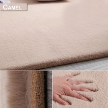 먼지없는 카페트 러그 중형 대형 수입 거실 카페트 겨울 슈퍼 부드러운 솜털 매트 솔리드