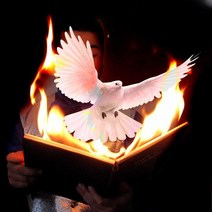 마술소품 다비드 마술사 비둘기책 불마술 매직 아트, 비둘기마술