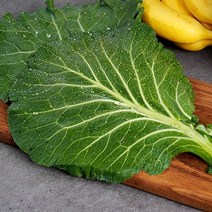 산세로 유기농 케일 5kg 녹즙용/아이스박스, 단품