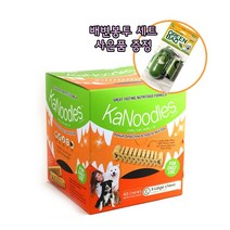 포켄스 카누들 껌 필로팩 XL 40개입 1박스, 1box