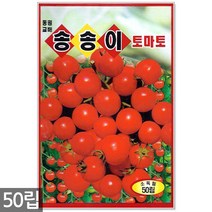 팬더콩 씨앗 30g - 콩씨앗 콩씨 팬더콩씨앗 팬더콩씨 팬더 강낭콩 주말농장 텃밭, 09_송송이방울토마토(50립)