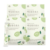 매실품은효소 식물유래매실 발효 효소 4박스 (100포), 4개