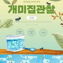 개미 방과후 곤충 관찰 사육장 키우기 하우스 여왕 개미집 만들기 터널 아파트 2단 하우스, 개미집관찰-2단형
