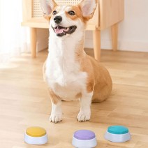 강아지 훈련벨 버튼 말하는 녹음 강아지벨 애견 녹음벨 부저 간식벨 소형견 말하기 애견벨 간식 용품 번역기 의사소통 학습 통역기, R79114L(민트