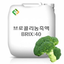 브로콜리농축액 20kg, 단품