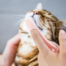 PET 고양이 턱드름 브러쉬 꼬드름 블랙헤드 관리 고양이 브러쉬 턱드름 관리 제거 강아지세안, 01턱드름브러쉬-핑크