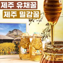 제주도 생산 유채꿀 밀감꿀 2종세트 국산 꿀 선물세트, 단품, 단품